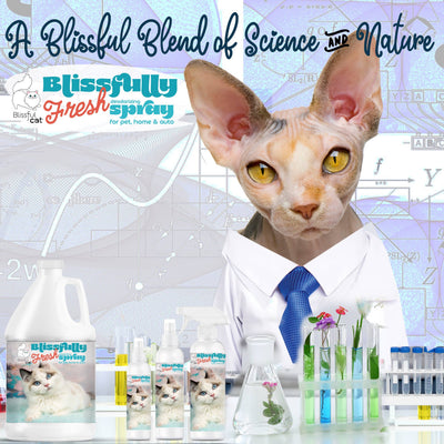 【自营】美国The Blissful Pets 幸福清新 猫猫宠物除味喷雾 4oz 118ml 宠物家居车内均可用