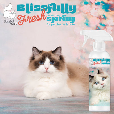 【自营】美国The Blissful Pets 幸福清新 猫猫宠物除味喷雾 4oz 118ml 宠物家居车内均可用