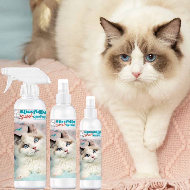 【自营】美国The Blissful Pets 幸福清新 猫猫宠物除味喷雾 4oz 118ml 宠物家居车内均可用