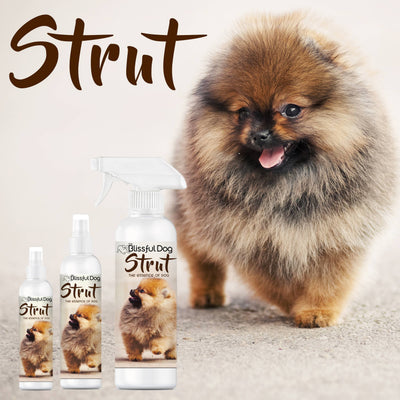 【自营】美国The Blissful Pets STRUT 狗狗古龙香水喷雾 王者的气息 8oz 236ml