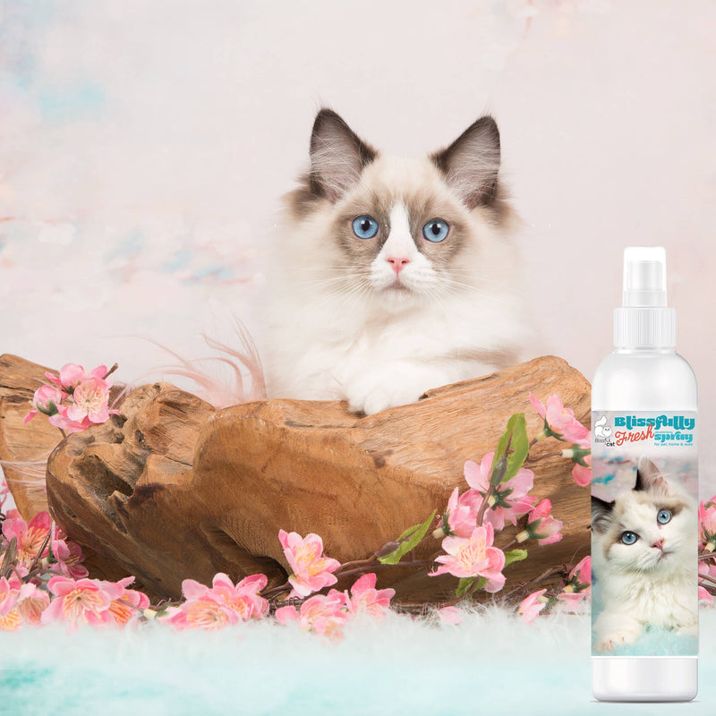 【自营】美国The Blissful Pets 幸福清新 猫猫宠物除味喷雾 4oz 118ml 宠物家居车内均可用